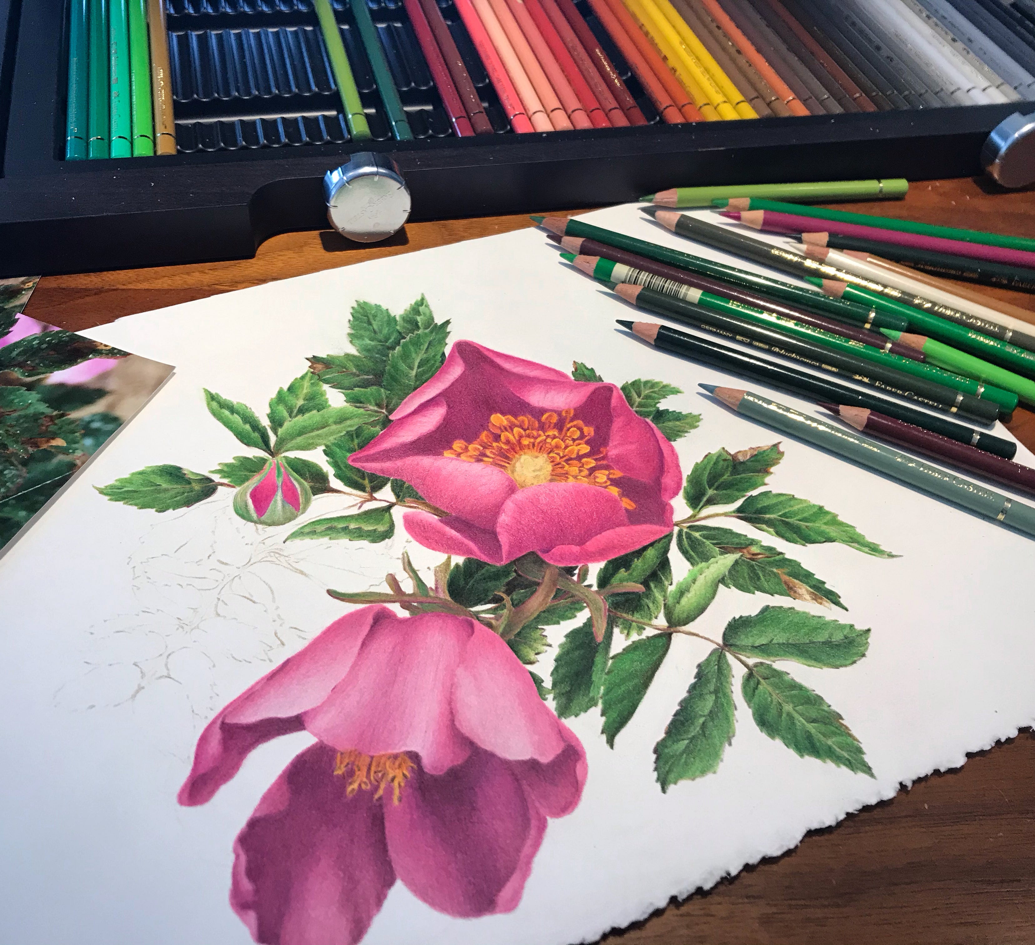 Oak and Umber Artisan Studio